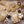 Load image into Gallery viewer, Premium Sustainable Baking Chocolate