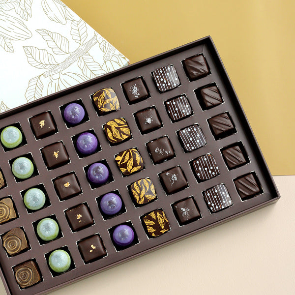 Dark Chocolate Collection