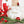 Load image into Gallery viewer, Holiday Gift Baskets