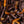 Load image into Gallery viewer, Orangettes