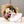 Load image into Gallery viewer, The Bloom & Bonbon Pairing
