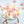 Load image into Gallery viewer, Meringues