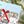 Load image into Gallery viewer, PRE-ORDER: Advent Calendar A Nova Scotia Winter by Emma FitzGerald
