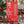 Load image into Gallery viewer, PRE-ORDER Holiday Bar Collection
