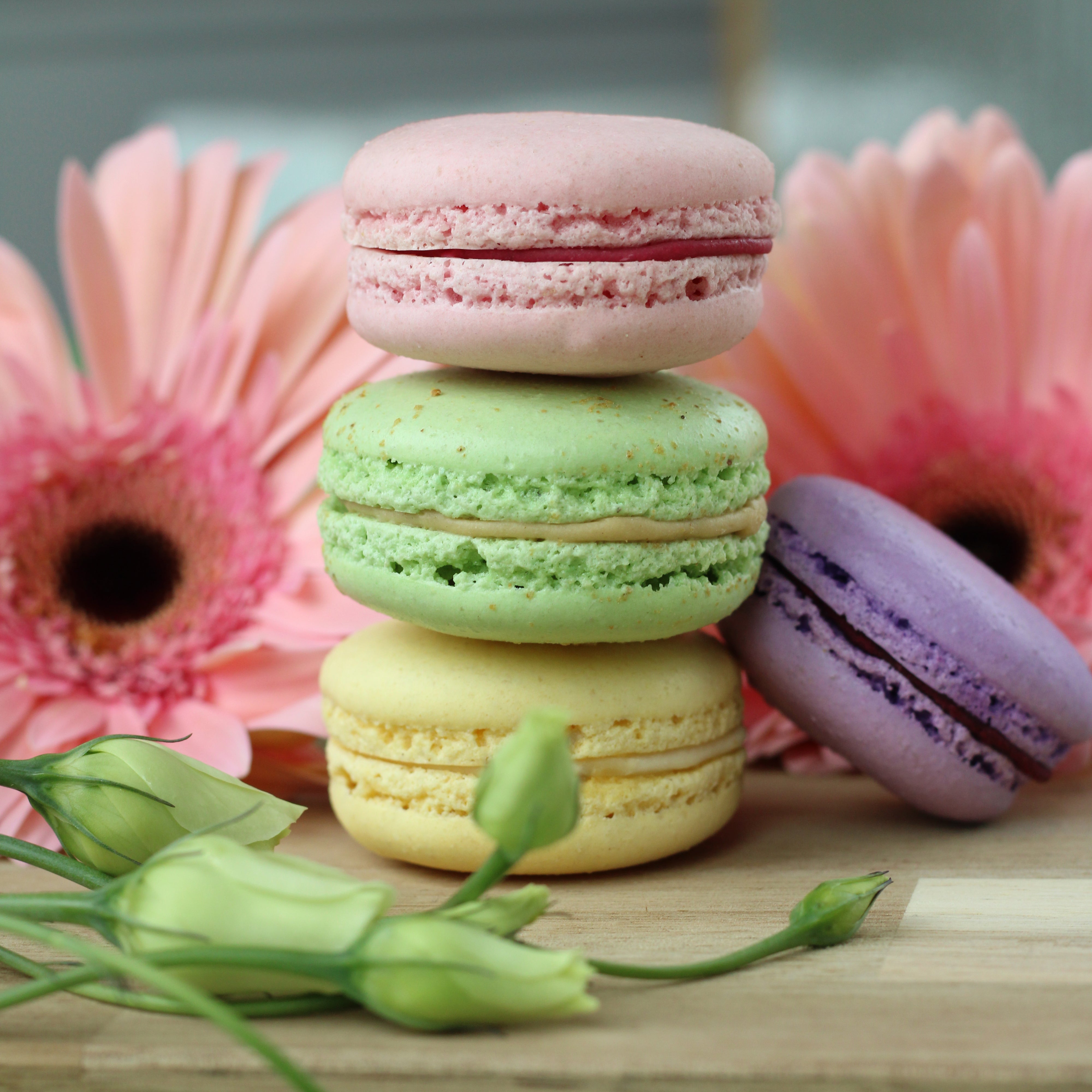 Macarons – ROUSSEAU Chocolatier