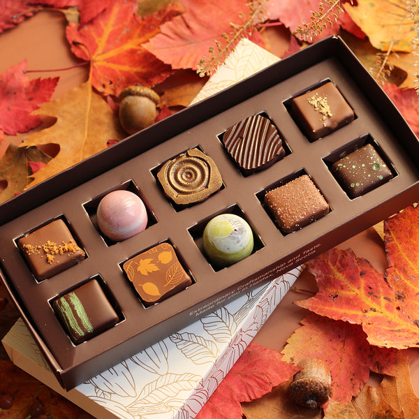Fall Collection Box