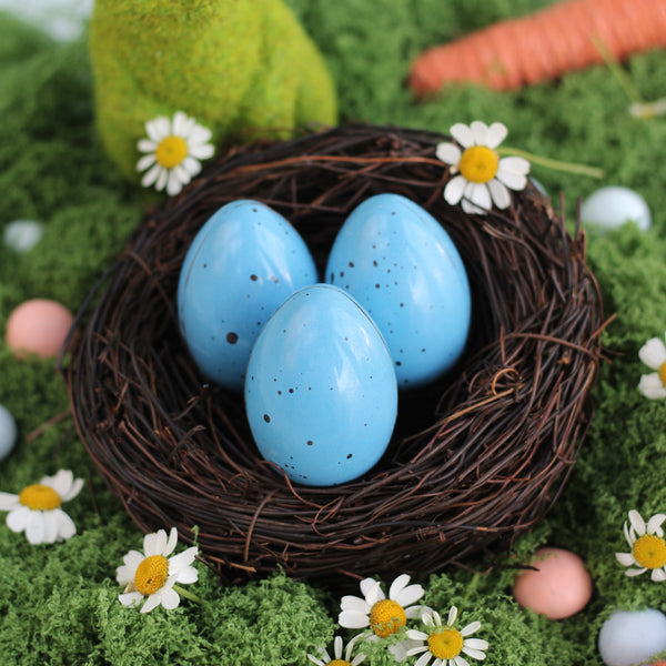 Blue Robin Eggs